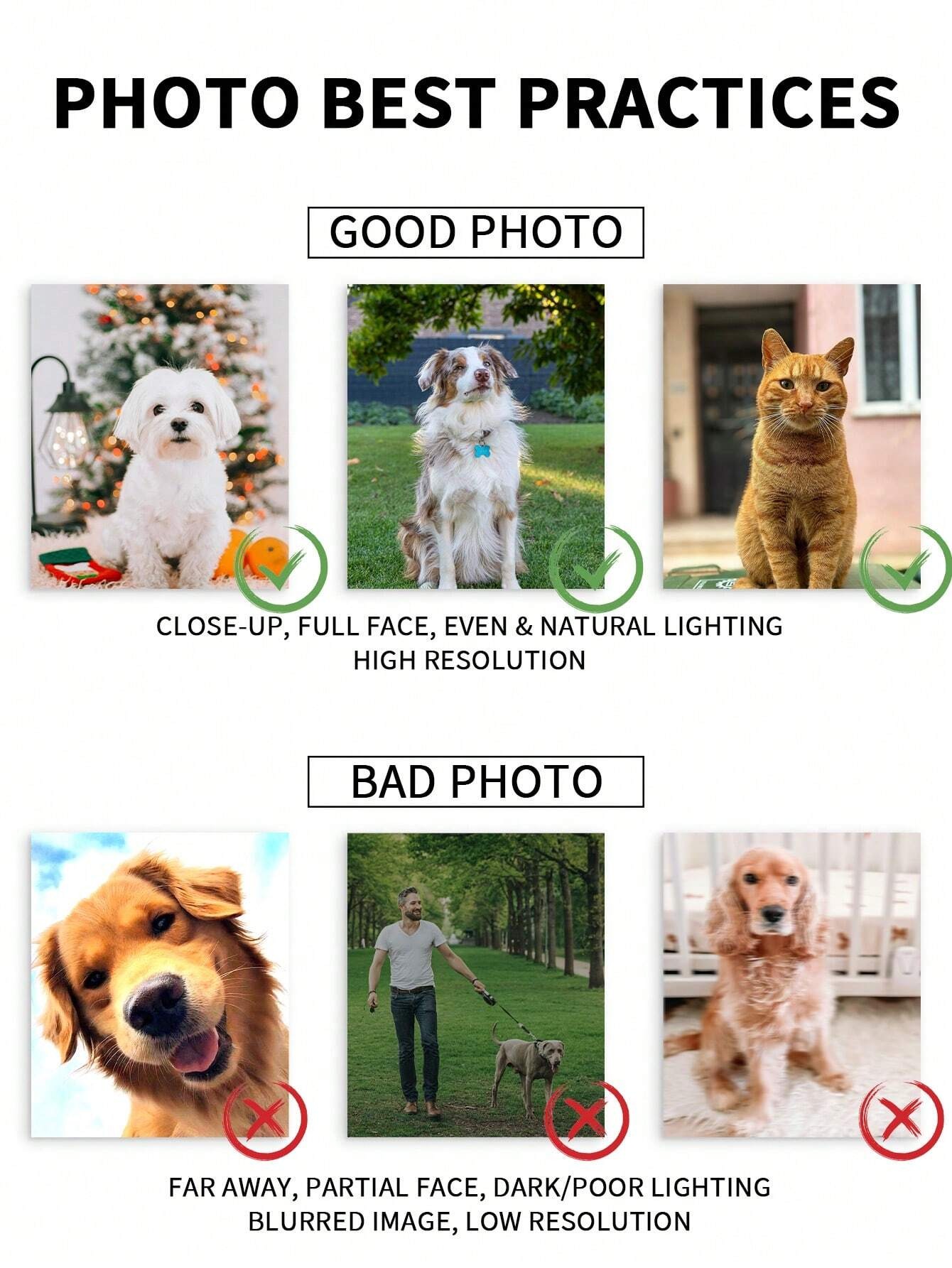 Cornice fotografica personaliz - Pet Portrait Custom recensione e prezzo